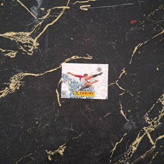 Cromos Panini Mundial