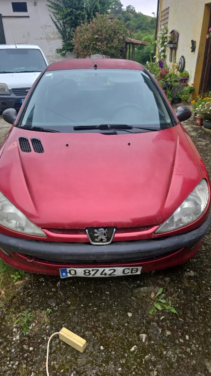 Peugeot 206 1999 - foto 1