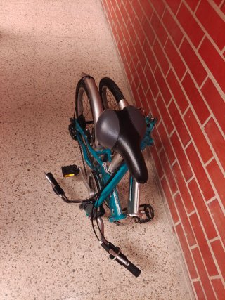Bicicleta pieghevole urbana
