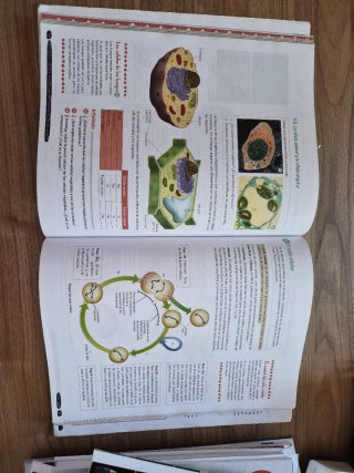 Biología y Geología, 4 ESO