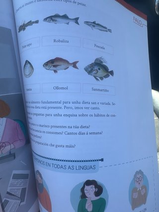 9788411101851 Lingua Galega 4 Primaria Xerais