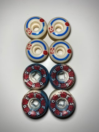 Skate Birdhouse leer descripcion
