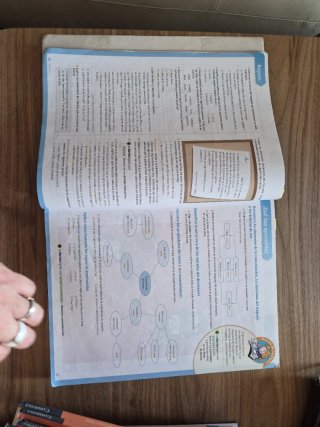 Lengua castellana y literatura. 4 ESO. Savia