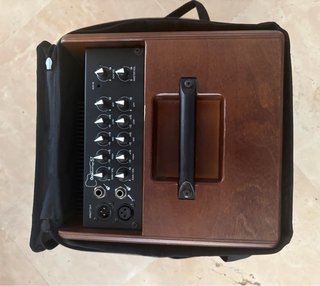 Amplificador Acus One5T SimonWood + Bolsa