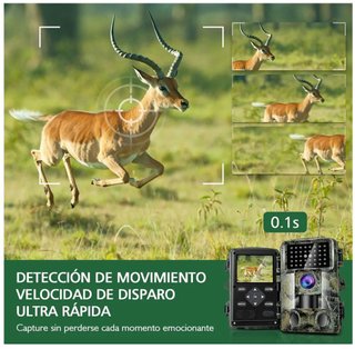 Camara Fototrampeo con Micro SD 32GB (PRECINTADA)