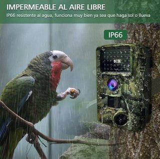 Camara Fototrampeo con Micro SD 32GB (PRECINTADA)