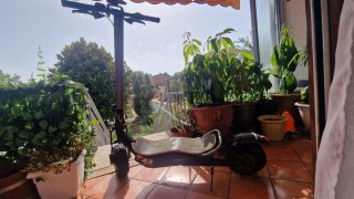 Cecotec Bongo Z Mountain Scooter
