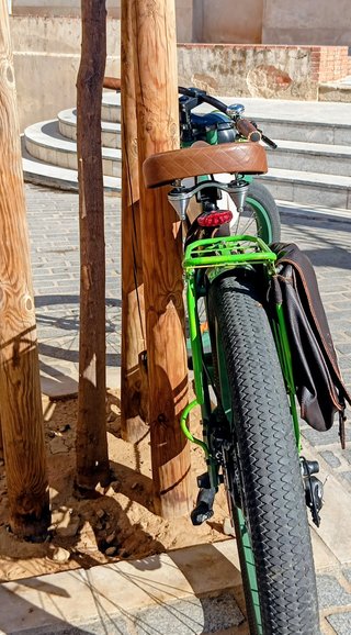 Bicicleta Eléctrica Michael Blast Greaser
