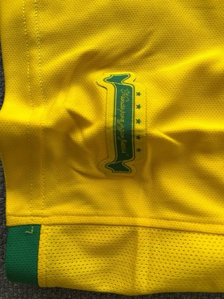 Camiseta Brasil 9