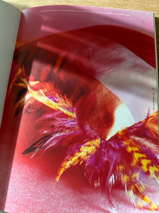 Revista de tendência para interiores e design