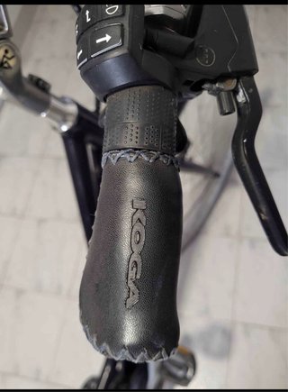 Koga EDream Ebike