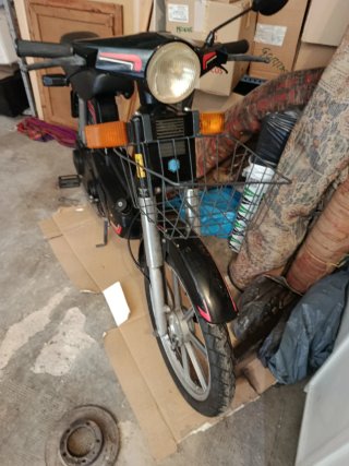 Vespino ALX + Regalo Ducati 49