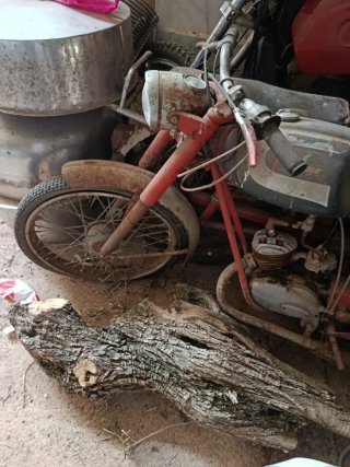 Vespino ALX + Regalo Ducati 49