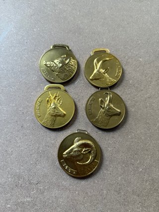 Medallas SCI de oro