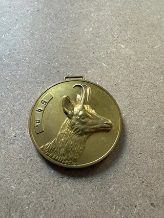Medallas SCI de oro