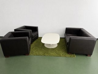 Sofás de cuero, alfombra y mesa Ikea