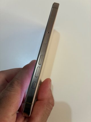 iPhone 16 Pro 256 GB