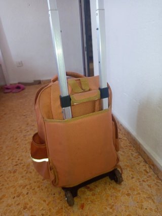 Mochila escolar con diseño de capibara