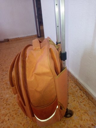 Mochila escolar con diseño de capibara