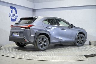 Lexus UX 2.0 250h Business