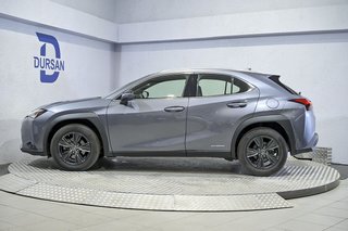 Lexus UX 2.0 250h Business