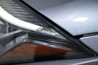 Lexus UX 2.0 250h Business