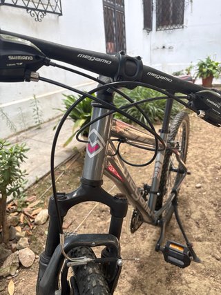 Bicicleta Megamo Gris y Rosa