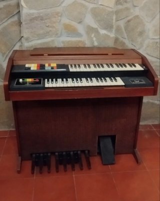 Órgano Electrónico Hammond 123