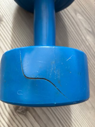 Coppia di manubri blu da 5 kg