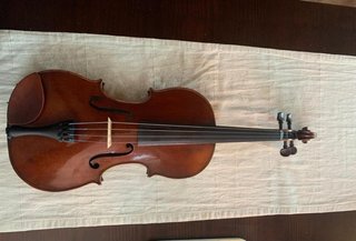 Viola 40,8 cm