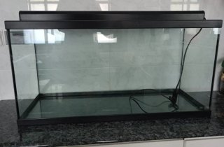 Acuario Negro y Transparente