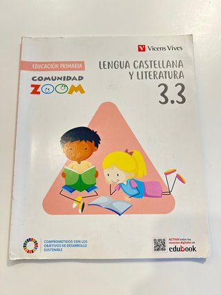Lengua Castellana y Literatura Comunidad Zoom 3