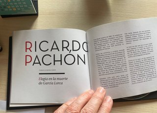 Lorca Vivo Flamenco y Sevillanas