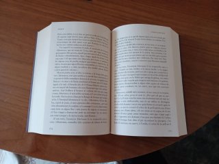 Ilíada (edició en català)