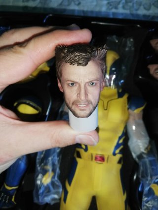 Hot Toys Wolverine Deluxe MMS754