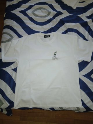 Camiseta The North Face (Talla L)