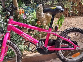 Bicicleta Infantil Conor Meteor 16