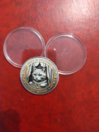Preciosa Moneda Conmemorativa.