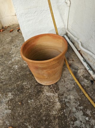 Maceta de arcilla grande