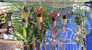 Mini Cuelga Macetas de macrame Multicolor