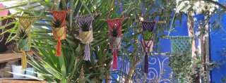 Mini Cuelga Macetas de macrame Multicolor