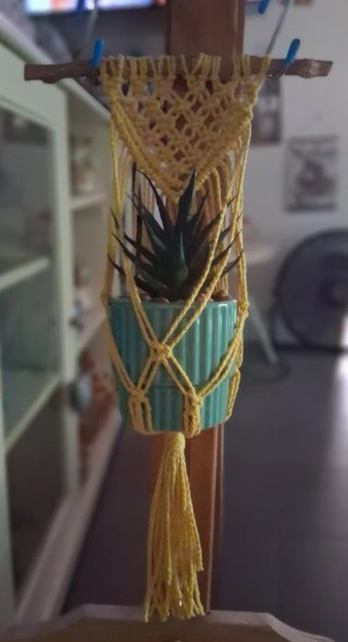 Mini Cuelga Macetas de macrame Multicolor