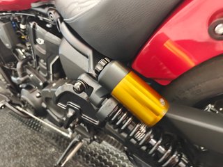 INDIAN SCOUT 101  2025 8.500KMS