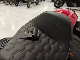 INDIAN SCOUT 101  2025 8.500KMS