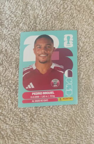 Lote 248 cromos Mundial 2026 (sin repetir)