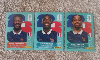 Lote 248 cromos Mundial 2026 (sin repetir)