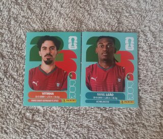 Lote 248 cromos Mundial 2026 (sin repetir)