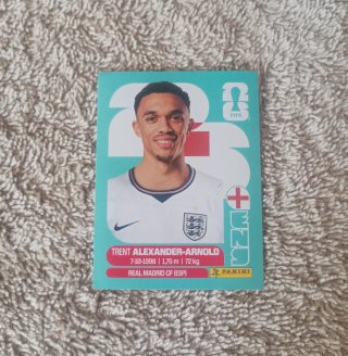 Lote 248 cromos Mundial 2026 (sin repetir)