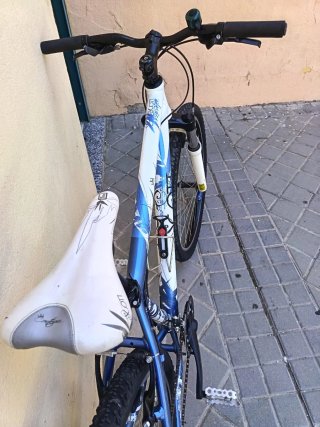Bicicletta Scott Mountain Donna