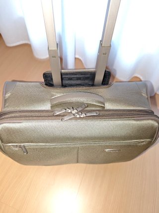Maletín de viaje Samsonite beige/marrón
